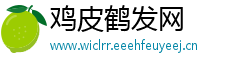 鸡皮鹤发网
